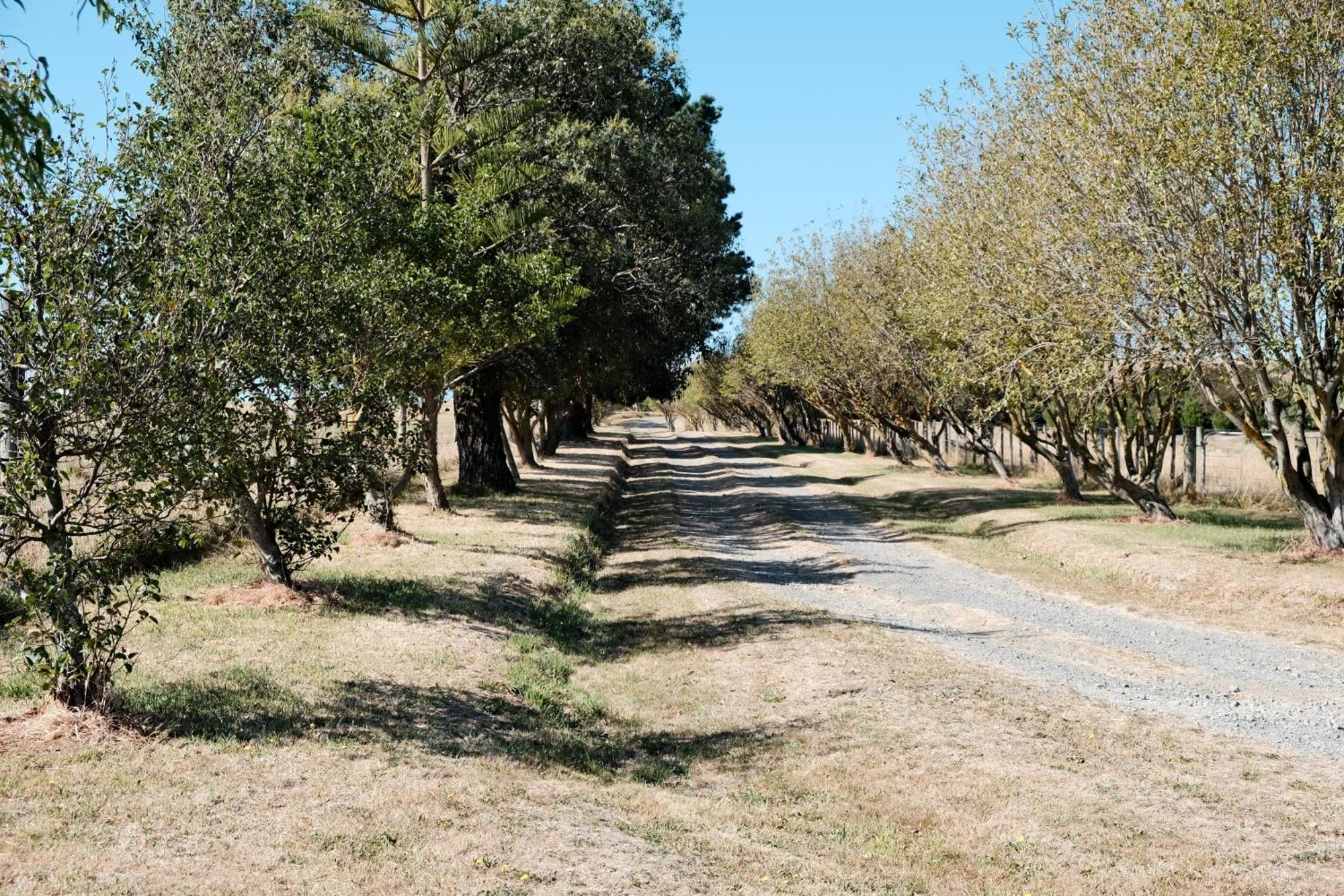 A Cabin With A Big View, Comfort And Tranquility, Close To Vines มาร์ตินเบรอ ภายนอก รูปภาพ